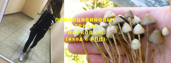 прущая мука Армянск