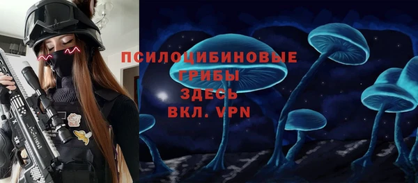 прущая мука Армянск