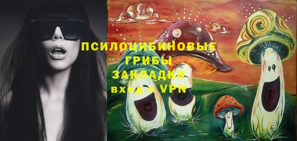 прущая мука Армянск