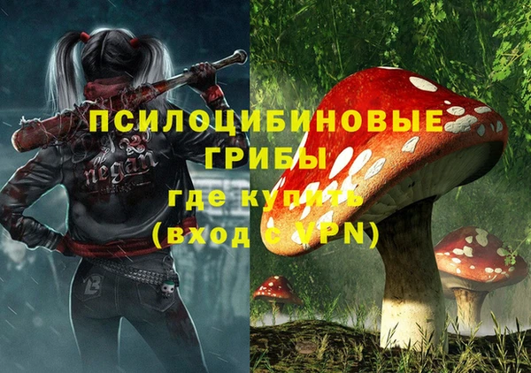 метадон Арсеньев