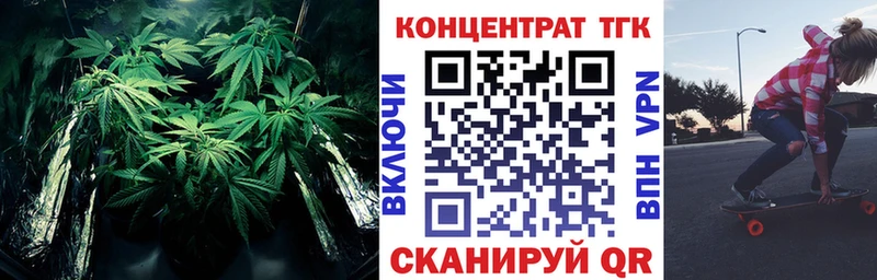 ТГК Wax  Бежецк 